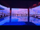 麗虹（ IHONG）地拉幕布投影幕布電動(dòng)地升幕布玻纖金屬菲涅爾抗光免安裝家用可移動(dòng)升降地拉式投影幕布 4K白塑地拉幕-手動(dòng) 100英寸（全面屏） 曬單實(shí)拍圖