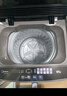 美的（Midea）波輪洗衣機全自動(dòng)家用 MB65V36E 6.5公斤 宿舍租房 迷你洗衣機小型 隨心洗 以舊換新 家電國家補貼 曬單實(shí)拍圖