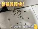 YUGO日本蟑螂藥強效商用一窩端除蟑螂廚房魔盒家用滅除殺蟑膠餌全神器 2盒/12枚裝【連環(huán)滅殺  專(zhuān)業(yè)滅蟑】 曬單實(shí)拍圖