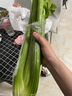 西芹約1kg 曬單實(shí)拍圖