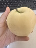 甜醉了 煙臺蘋(píng)果黃元帥粉面蘋(píng)果黃金帥黃香蕉山東新鮮水果當季整箱鮮果 凈重3斤75-70mm 曬單實(shí)拍圖