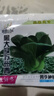黑大頭蘇州青種子 上海青種子黑葉油菜籽陽(yáng)臺盆栽四季播蔬菜種子 黑葉蘇州青種子 1包約1000粒 曬單實(shí)拍圖