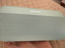 Bose【國家補貼】SoundLink Flex 小巨彈藍牙揚聲器戶(hù)外防水音箱音箱 無(wú)線(xiàn)便攜式露營(yíng)音箱 Flex（第二代）鼠尾草綠 曬單實(shí)拍圖
