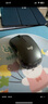 羅技（Logitech）M240 輕音無線藍(lán)牙鼠標(biāo) 商務(wù)辦公家用便攜鼠標(biāo) 帶Logi Bolt接收器 商用版 曬單實(shí)拍圖