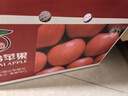 京鮮生 煙臺紅富士蘋果 凈重10斤 單果220g以上 中秋水果禮盒 曬單實拍圖