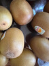 佳沛（zespri）新西蘭  陽(yáng)光金奇異果16粒禮盒經(jīng)典果單果約 77-103g 水果 獼猴桃 曬單實(shí)拍圖