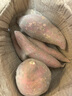 【頭茬-粉糯】正宗山東煙薯爆甜新鮮香甜現(xiàn)挖番薯蔬菜水果 普通裝單個(gè)100g+ 3斤帶箱 凈重2.5斤 曬單實(shí)拍圖