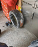 米其林（MICHELIN）汽車輪胎 235/45R18 98W 浩悅五代 Primacy 5 適配帕薩特/星瑞 曬單實(shí)拍圖