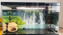 適配小米家魚(yú)缸造景青龍石裝飾卡通擺件背景板生態(tài)布景畫(huà)全套配件 【背景板】瀑布 曬單實(shí)拍圖