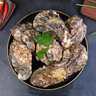 百味殿【活鮮】生蠔 乳山牡蠣 新鮮海蠣子生鮮貝類(lèi) 【90%選擇】5XL帶箱10斤 曬單實(shí)拍圖