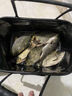 民間藝人月白輕口鯽魚漂專用高靈敏加粗細(xì)尾醒目納米釣鯉魚漂野釣浮漂 A05+小棗核加粗尾 2號一支 曬單實(shí)拍圖