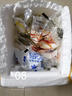 蒙牛蒙牛鮮牛奶180m/袋純牛奶白袋早餐奶巴氏殺菌整箱裝 蒙牛鮮牛奶180ml*12袋 曬單實(shí)拍圖