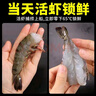 蝦有蝦途黑虎蝦特大號老虎蝦新鮮冷凍鮮活斑節蝦整盒2斤凈重20-25只/盒 1盒 2斤(凈重)  17-19cm 曬單實(shí)拍圖