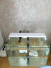 森森（SUNSUN）魚缸過濾器壁掛式抽水泵外置小型過濾桶YBG-400 5W 曬單實(shí)拍圖