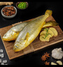 三都港 鮮凍原條黃花魚凈重2斤/2條 寧德大黃魚 海魚 生鮮 燒烤 曬單實拍圖