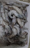 海云馨蝦活蝦速凍生鮮青島大蝦海蝦海鮮水產(chǎn)鮮活冷凍凍蝦超大白蝦 16-18cm整箱 3斤(凈重)  活蝦速凍 曬單實拍圖