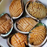 森農(nóng)樂鮑魚鮮活冷凍特大生鮮大號貝類海鮮水產(chǎn)超大即食佛跳墻食材鮑魚汁 14-16只/斤【中大鮑2斤 實發(fā)28-30只】 曬單實拍圖