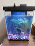 米家智能桌面魚缸小米生態(tài)魚缸小型智能專業(yè)背濾一體缸自循環(huán) 曬單實拍圖
