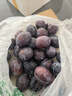 庾豐當季新鮮現摘脆紅李 新鮮水果整箱 孕婦脫骨青紅李子 團購送禮 5斤裝（凈果4.5斤）甄選果 顆顆甄選 產(chǎn)地直發(fā) 曬單實(shí)拍圖