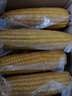 佳農(nóng) 內(nèi)蒙黃糯玉米棒8袋*220g 軟糯香甜 真空鎖鮮 源頭直發(fā) 禮盒包郵 曬單實(shí)拍圖