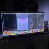喜高超白玻璃魚缸智能魚缸免換水小型客廳水族箱一體式過濾氧氣魚缸 白-魚缸標(biāo)配 600*268*322mm 曬單實拍圖