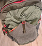 GREGORY格里高利 NANO蜂鳥 旅行男女戶外徒步背包登山包通勤雙肩包20L 20L-火焰綠 曬單實拍圖