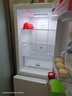 TCL 190升雙門(mén)風(fēng)冷無(wú)霜白色小冰箱家用電冰箱出租房小戶(hù)型超薄迷你家用電冰箱國(guó)家補(bǔ)貼R190V5-B 曬單實(shí)拍圖