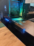 G.SKILL芝奇（G.SKILL）64GB(32GBx2)套裝 DDR5 6000頻率 臺式機內存條-皇家戟EXPO版RGB燈條-銀色/C28 曬單實(shí)拍圖