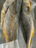 GUO LIAN國聯(lián) 三去黃花魚2條 共凈重2斤國產(chǎn)寧德東海大黃魚 海鮮水產(chǎn)生鮮 曬單實(shí)拍圖