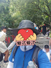 迪卡儂漁夫帽TREK500太陽帽戶外登山徒步防曬防紫外線遮陽透氣-2022181 曬單實(shí)拍圖