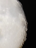 薩伽（SAGA）變倍單筒望遠(yuǎn)鏡觀鳥鏡高倍高清微光夜視專業(yè)級(jí)觀靶觀雀雙速調(diào)焦 曬單實(shí)拍圖
