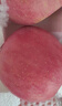 佳農 煙臺紅富士蘋(píng)果 凈重10斤 一級果 單果重160g+  生鮮水果 曬單實(shí)拍圖