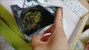 手打檸檬茶鴨屎香檸檬茶葉奶茶店濃香手打檸檬茶正宗潮州鄰里同款 鴨屎香茶頭520·g【奶茶店用料】 曬單實(shí)拍圖
