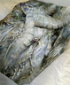 北海灣 高品質(zhì)活凍黑虎蝦 超大蝦類大蝦生鮮老虎蝦冰鮮印度海蝦盒裝送禮 19-21cm【高品質(zhì)】 1000g(凈重) 曬單實拍圖
