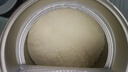 雀巢（Nestle） 早啟能恩 特殊配方奶粉 早產(chǎn)低體重嬰兒配方奶粉 400g 曬單實拍圖