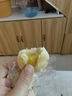 桃西村黃小米山藥餅健康營(yíng)養(yǎng)早餐代餐零食小糕點(diǎn)雪媚娘夾心軟糯手工糕點(diǎn) 黃小米山藥餅8枚*1盒 曬單實(shí)拍圖