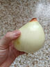 新鮮黃洋蔥黃金水果洋蔥即食蔬菜調(diào)料燒烤食材 新鮮黃洋蔥 500g 含箱 曬單實(shí)拍圖