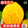 【現摘順豐】新鮮雞蛋果 云南/海南蛋黃果 獅頭果熱帶水果香甜 單果120-200g 2500g 曬單實(shí)拍圖