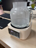 金正（NINTAUS）養生壺全玻璃花茶壺燒水壺煮茶器恒溫水壺養生水壺辦公室煮茶壺迷你0膠水煮水壺 全玻璃壺體【帶304不銹鋼濾網(wǎng)】 1.2L 曬單實(shí)拍圖