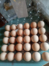 七鮮 安心無(wú)抗鮮雞蛋30枚1.59kg 曬單實(shí)拍圖