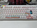 RECCAZR雷咖澤R66線(xiàn)條小狗客制化熱插拔線(xiàn)性機械鍵盤(pán)可愛(ài)女生筆記本電腦鍵盤(pán) R102白色三?！揪€(xiàn)條小狗】顯示屏+滾輪 逆獄KU中軸 曬單實(shí)拍圖