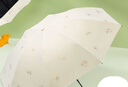天堂 防紫外線晴雨傘三折 雨傘黑膠防曬太陽傘遮陽晴雨傘 甘酪白 曬單實拍圖