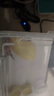 易萌 爬寵加熱墊爬蟲箱恒溫溫控寵物角蛙守宮烏龜魚缸保溫墊 調(diào)溫12W 曬單實(shí)拍圖