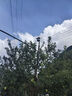 網(wǎng)絡(luò)眼4g免費(fèi)流量太陽(yáng)能攝像頭室外無(wú)電無(wú)網(wǎng)農(nóng)村戶外手機(jī)遠(yuǎn)程高清無(wú)線監(jiān)控器家用360度無(wú)死角帶夜視全景 【太陽(yáng)能4G版】免流量無(wú)需充值+64G卡 曬單實(shí)拍圖