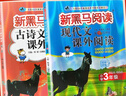 套裝2冊 新黑馬閱讀 小學(xué)三年級現代文課外閱讀理解+古詩(shī)文課外閱讀理解 小學(xué)語(yǔ)文閱讀理解專(zhuān)項強化訓練答題技巧答題模板必刷題同步練習冊 曬單實(shí)拍圖