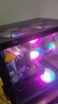 技嘉 酷睿i5 13400F臺(tái)式組裝電腦主機(jī)RTX4060Ti/5060Ti游戲高端電競(jìng)獨(dú)顯直播設(shè)計(jì)渲染整機(jī) 配置二：13代酷睿i5丨RTX5060 曬單實(shí)拍圖