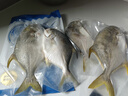 1號(hào)會(huì)員店（One's Member）甄選海南二去金鯧魚去鰓去內(nèi)臟生鮮魚類 海鮮水產(chǎn) 700g/2條裝 曬單實(shí)拍圖