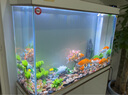 森森（SUNSUN）大型魚缸底過濾水族箱客廳家用落地玻璃生態(tài)金魚缸 【實時溫顯+燈控】珍珠白 1米長35cm寬 曬單實拍圖
