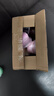 美吉萬起泡膠套裝兒童手工diy玩具材料包網(wǎng)紅解壓史萊姆不黏手水晶泥彩泥假水 9色裝 曬單實(shí)拍圖