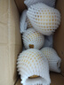 新緣云南石林新鮮現(xiàn)摘人參果孕婦特大果單果120克起-新緣 石林人參果單果120克起帶箱1斤 曬單實(shí)拍圖